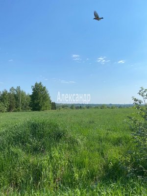 Продам участок 320 соток, Фермерское хоз., Соловьевка п, 109 км от города