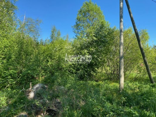 Продам участок 320 соток, Фермерское хоз., Соловьевка п, 109 км от города