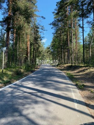 Продам участок 320 соток, Фермерское хоз., Соловьевка п, 109 км от города