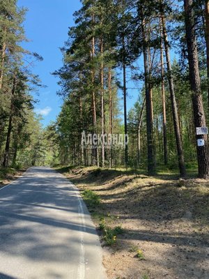 Продам участок 320 соток, Фермерское хоз., Соловьевка п, 109 км от города