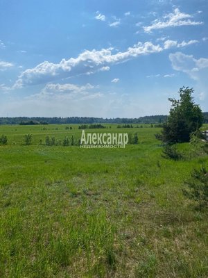 Продам участок 320 соток, Фермерское хоз., Соловьевка п, 109 км от города