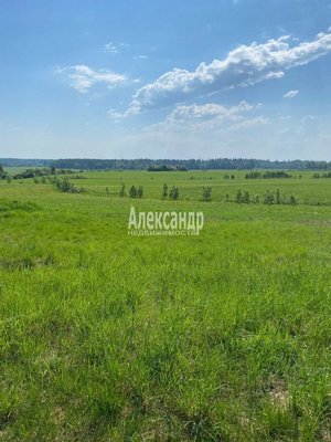 Продам участок 320 соток, Фермерское хоз., Соловьевка п, 109 км от города