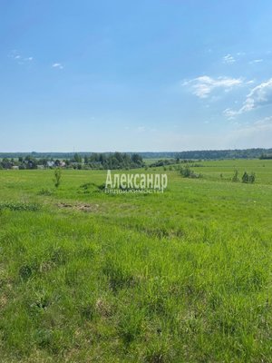 Продам участок 320 соток, Фермерское хоз., Соловьевка п, 109 км от города