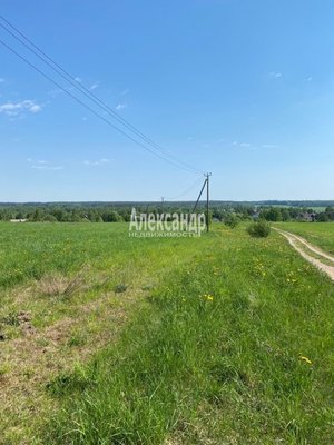 Продам участок 320 соток, Фермерское хоз., Соловьевка п, 109 км от города