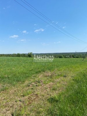 Продам участок 320 соток, Фермерское хоз., Соловьевка п, 109 км от города