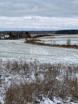 Продам участок 320 соток, Фермерское хоз., Соловьевка п, 109 км от города