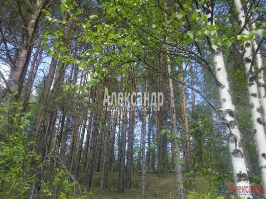 Продам участок 39,22 соток, ИЖС, Райвио п, 220 км от города