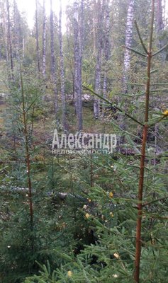 Продам участок 39,22 соток, ИЖС, Райвио п, 220 км от города