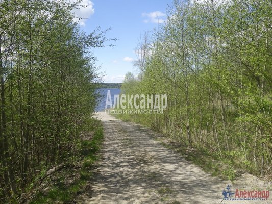 Продам участок 39,22 соток, ИЖС, Райвио п, 220 км от города