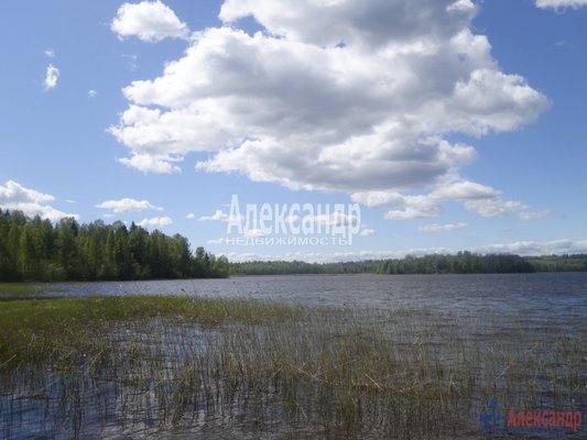 Продам участок 39,22 соток, ИЖС, Райвио п, 220 км от города