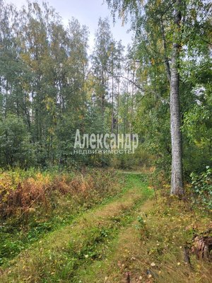 Продам участок 39,22 соток, ИЖС, Райвио п, 220 км от города