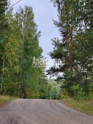 Продам участок 39,22 соток, ИЖС, Райвио п, 220 км от города