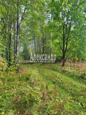 Продам участок 39,22 соток, ИЖС, Райвио п, 220 км от города