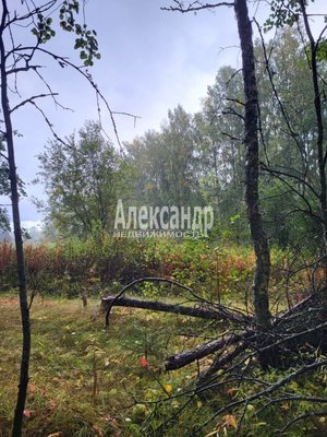 Продам участок 39,22 соток, ИЖС, Райвио п, 220 км от города