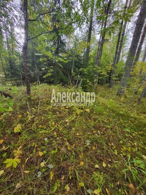 Продам участок 39,22 соток, ИЖС, Райвио п, 220 км от города