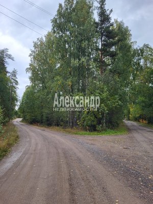 Продам участок 39,22 соток, ИЖС, Райвио п, 220 км от города