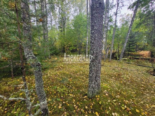 Продам участок 39,22 соток, ИЖС, Райвио п, 220 км от города