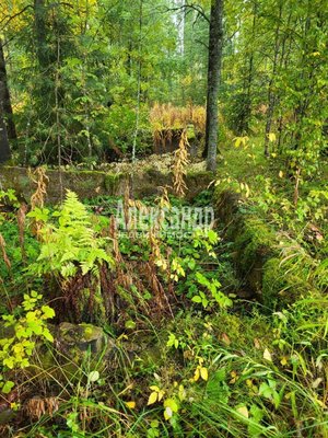 Продам участок 39,22 соток, ИЖС, Райвио п, 220 км от города