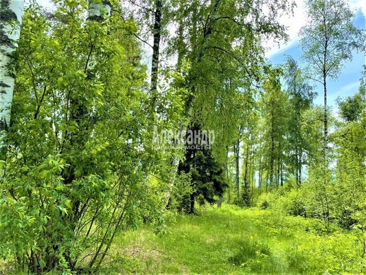 Продам участок 30 соток, ИЖС, Торфяное п, 114 км от города