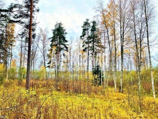 Продам участок 30 соток, ИЖС, Торфяное п, 114 км от города