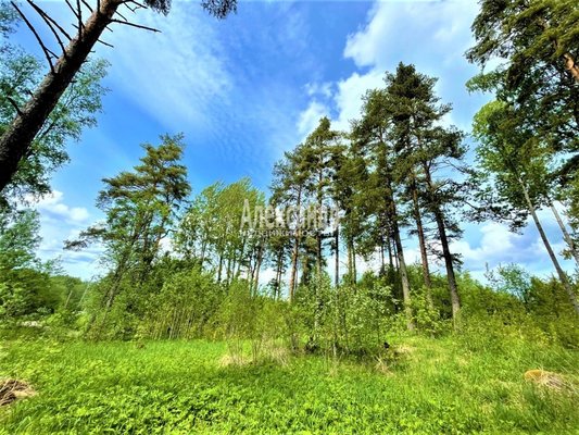 Продам участок 30 соток, ИЖС, Торфяное п, 114 км от города