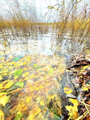 Продам участок 30 соток, ИЖС, Торфяное п, 114 км от города