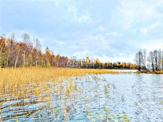 Продам участок 30 соток, ИЖС, Торфяное п, 114 км от города