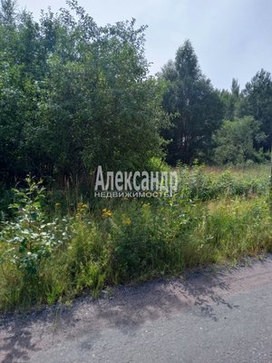 Продам участок 21 305 соток, ЛПХ, поселок Собственность, Королевская дорога ул, Балтиец п, 185 км от города
