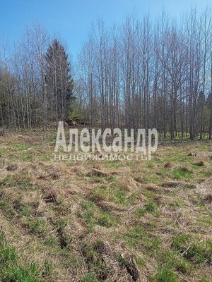 Продам участок 12 соток, ИЖС, Королевская дорога ул, Балтиец п, 179 км от города