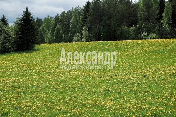 Продам участок 360 соток, ИЖС, Можжевельниково п, 184 км от города