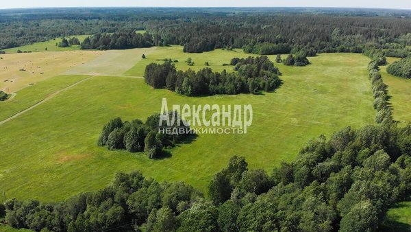 Продам участок 230 соток, ЛПХ, Кондратьево п, 160 км от города
