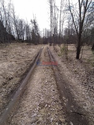 Продам участок 12 соток, ИЖС, Возрождение п, 140 км от города