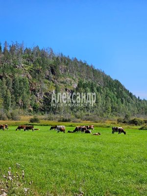 Продам участок 680 соток, ЛПХ, Микли п, 210 км от города