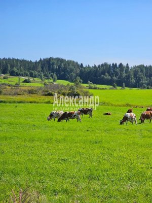 Продам участок 680 соток, ЛПХ, Микли п, 210 км от города