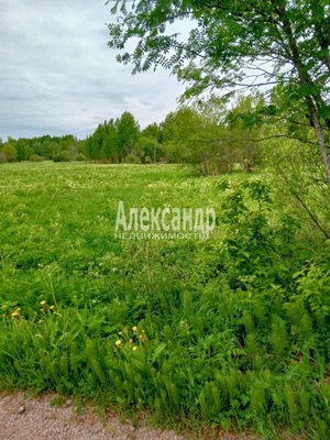 Продам участок 12 соток, ЛПХ, Королевская дорога ул, Балтиец п, 60 км от города