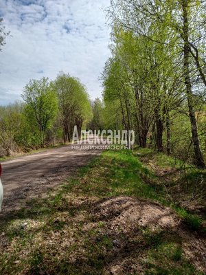 Продам участок 13 соток, ИЖС, Королевская дорога ул, Балтиец п, 179 км от города