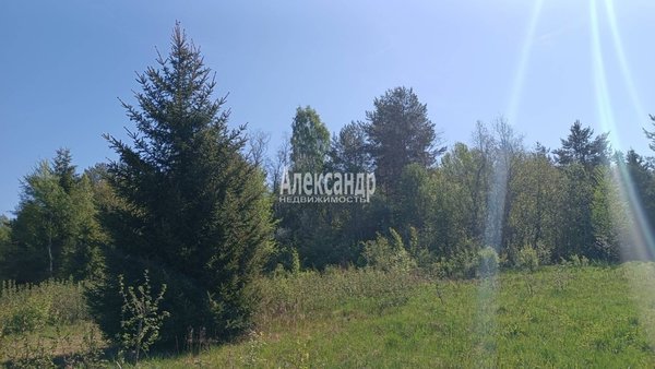 Продам участок 12 соток, ИЖС, Совхозная ул, Комсомольское п, 157 км от города