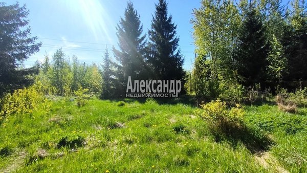 Продам дачу, Озерное(п.Лейпясуо) тер. СНТ, 104 км от города