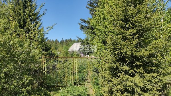 Продам дачу, Озерное(п.Лейпясуо) тер. СНТ, 104 км от города