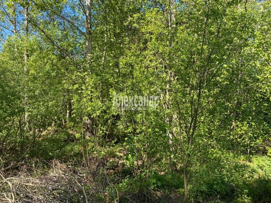 Продам участок 22 соток, ЛПХ, Кротово п, 126 км от города