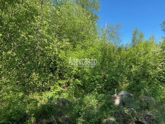 Продам участок 22 соток, ЛПХ, Кротово п, 126 км от города