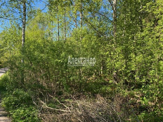 Продам участок 22 соток, ЛПХ, Кротово п, 126 км от города