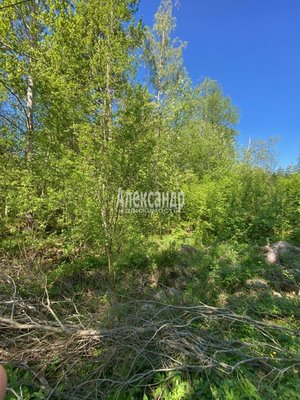 Продам участок 22 соток, ЛПХ, Кротово п, 126 км от города