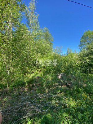 Продам участок 22 соток, ЛПХ, Кротово п, 126 км от города