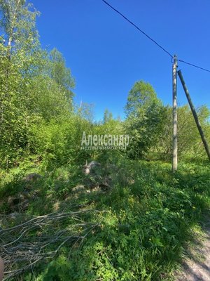 Продам участок 22 соток, ЛПХ, Кротово п, 126 км от города