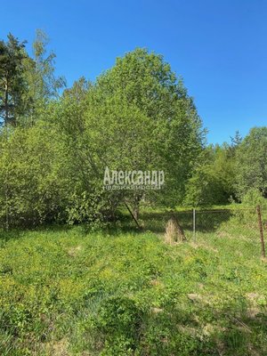 Продам участок 22 соток, ЛПХ, Кротово п, 126 км от города