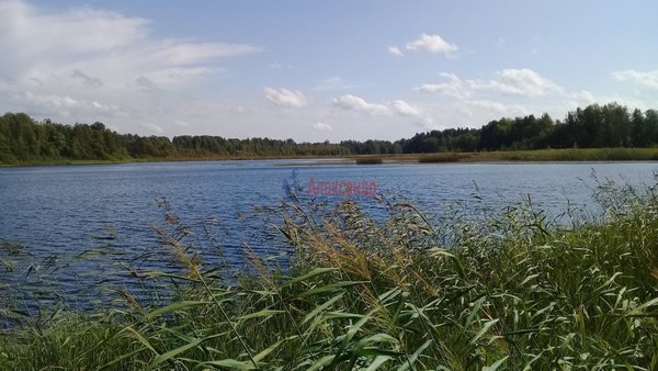 Продам участок 24 соток, ИЖС, Перевозное п, 162 км от города