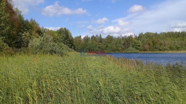 Продам участок 24 соток, ИЖС, Перевозное п, 162 км от города