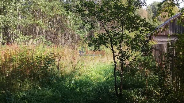 Продам участок 24 соток, ИЖС, Перевозное п, 162 км от города