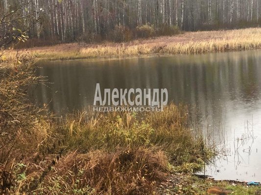 Продам участок 2 460 соток, ИЖС, Камышовка д, 124 км от города